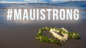 Help Hawaii: Ways To Donate